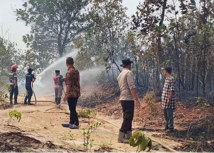 Karhutla 5 Hektare Dekati Permukiman Petugas Berjibaku 9 Jam Melakukan Pemadaman