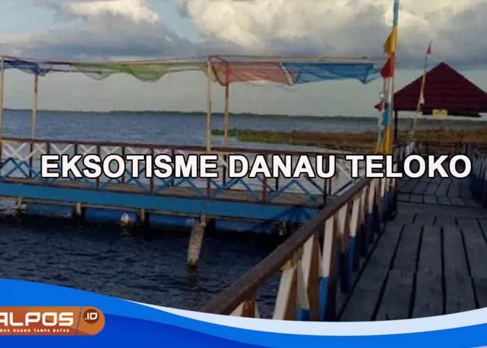 Menjelajah Keindahan Danau Teloko, Mutiara Terpendam Sumatera Selatan yang Wajib Dikunjungi !