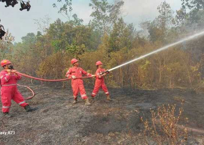 PHR Regional Sumatera Zona 4 Berhasil Padamkan 51 Titik Api Karhutla
