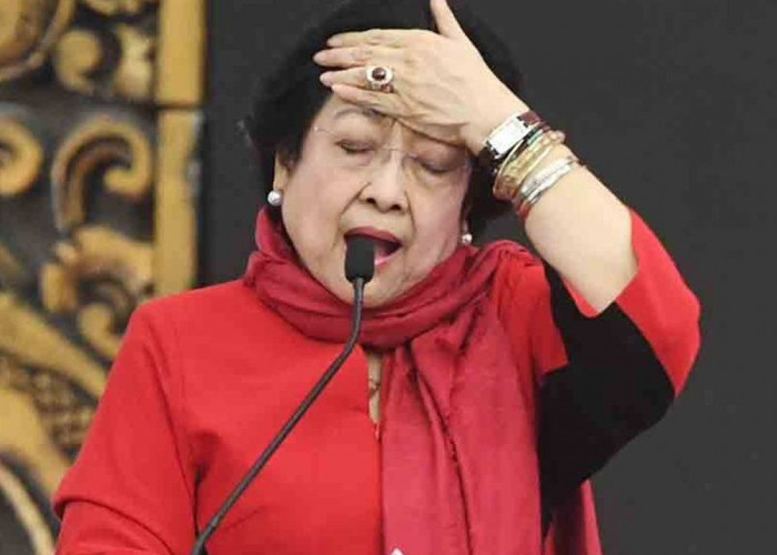 Effendi Simbolon Minta Megawati Mundur, PDIP Tuding Ada Upaya 