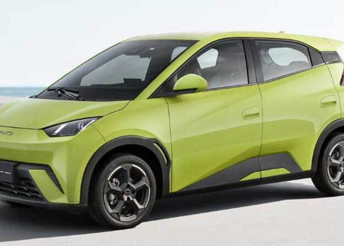 BYD Dolphin Mini Siap Masuk Indonesia? Ini Tanda-Tanda Kuatnya!. 