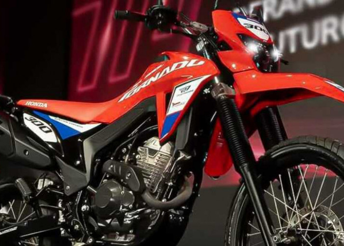 Gaya Balap Gurun! Honda Tornado 300 SE 2026 Hadir dengan Desain Ala CRF Dakar
