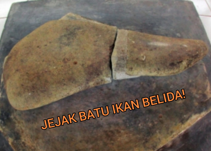 Legenda Batu Ikan Belida: Kehidupan dan Keajaiban di Desa Kutaringin