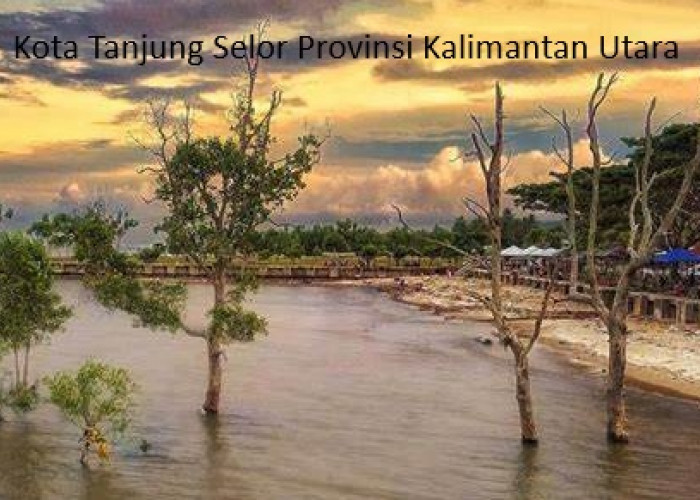 Tanjung Selor Provinsi Kalimantan Utara: Keberagaman dan Potensi Pembangunan