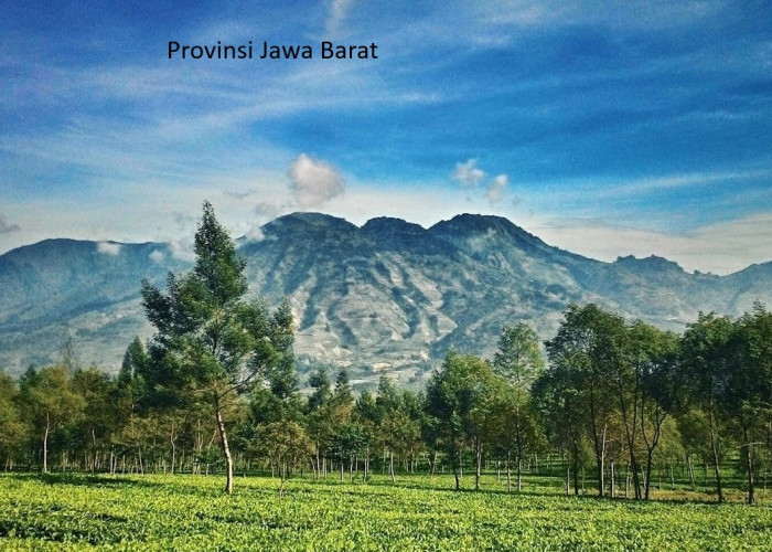 Pemekaran Wilayah Jawa Barat: Wacana Pembentukan 3 Provinsi Baru untuk Sejarah dan Masa Depan Daerah