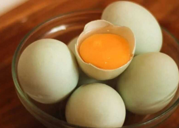 Telur Bebek: Kenikmatan Kuliner, Kekayaan Gizi dan Keajaiban Tradisional