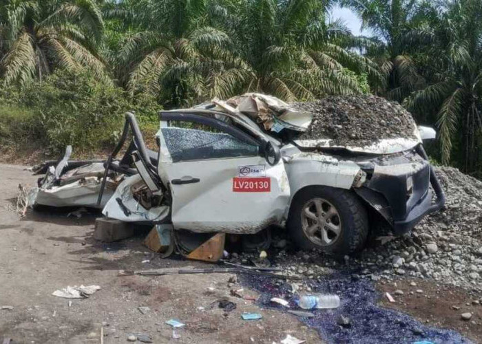 Pengawas Hauling PT RMK, Tewas Tertimpa Dumptruk