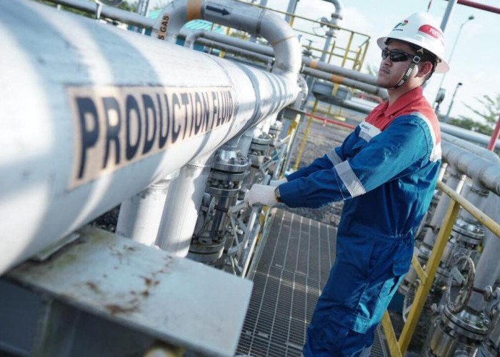 Produksi Minyak PEP Limau Field Meningkat Signifikan, Tembus 5.102 Barel per Hari Dukung Ketahanan Energi 