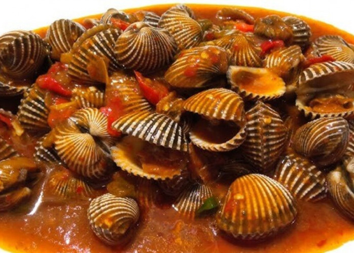 Kerang Dara Saus Padang: Sensasi Pedas dan Gurih yang Menggugah Selera