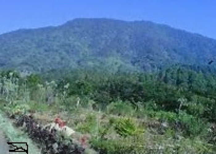 Wisata Bukit Geger di Kabupaten Bangkalan, Destinasi Wisata Unggulan di Jawa Timur