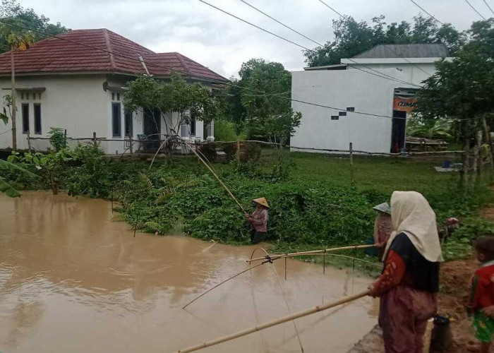 Sungai Meluap,  Ramai-Ramai Tangkul Ikan