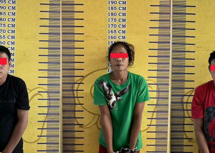 3 Anggota Jaringan Narkotika di Muba Akhirnya Tertangkap, Salah Satunya Emak-emak 