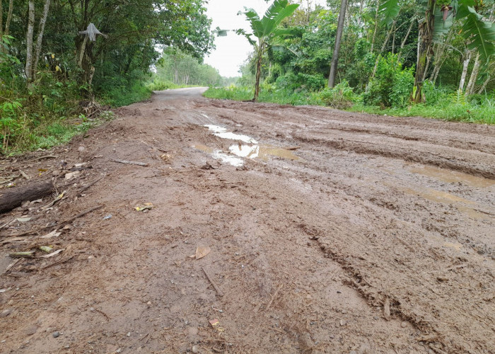 Baru Dibangun Menggunakan Dana Bantuan Provinsi Sumsel, Jalan Di Ogan Ilir Alami Rusak Parah, Ini Penyebabnya