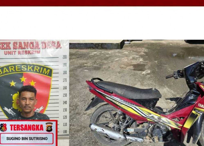 Pelaku Kunci Kasus  Curas di Sanga Desa diamankan 