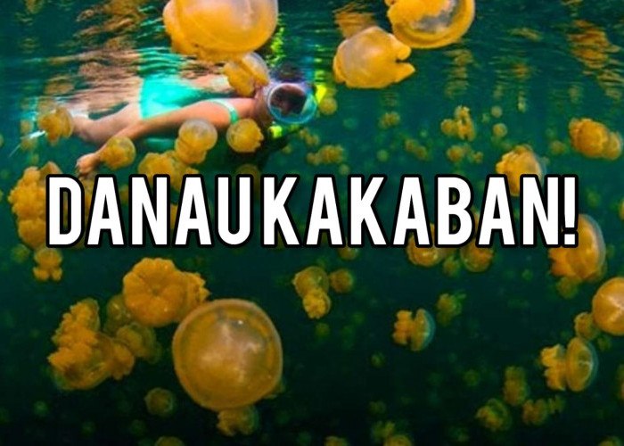 Keajaiban Danau Kakaban: Habitat Langka Ubur-Ubur yang Tidak Menyengat