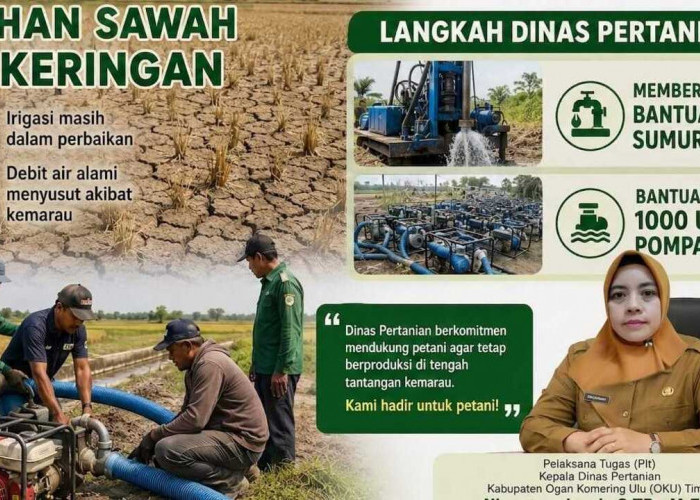 ‎Petani di OKUT Kesulitan Aliri Lahan Petanian, Dinas Pertanian Siap Bantu Sumur Bor dan Pompa