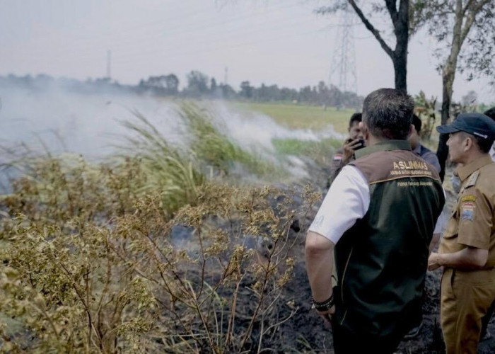 297 Titik Karhutla di Palembang, 235 Hektare Lahan Terbakar    