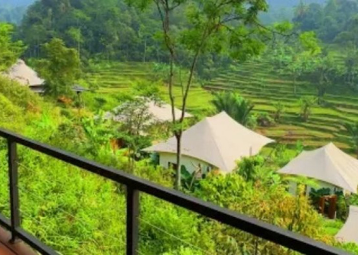 Pakarangan Glamping Bogor: Rekreasi Luar Biasa di Tengah Ketenangan Alam