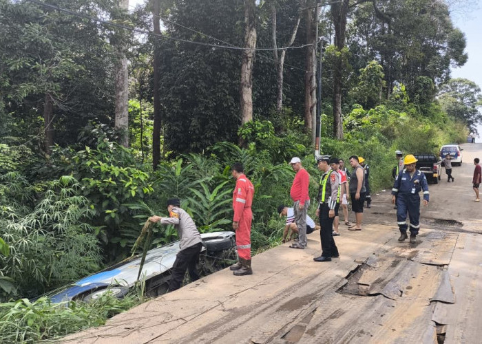 Diduga Sopir Mengantuk, Mobil Rombongan Jurnalis TVRI Terjun ke Semak