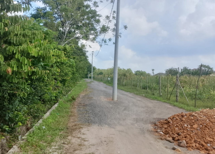 Terjadi di Ogan Ilir, Tiang Listrik Ditanam Tepat di Tengah Jalan, Begini Kata Pihak PLN