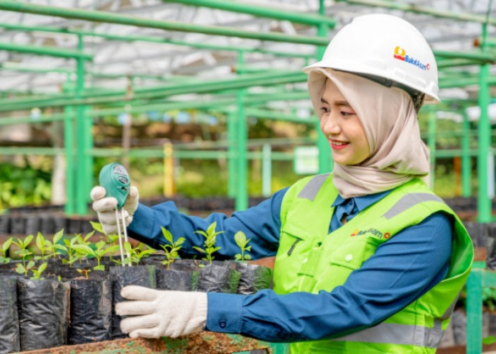 Buktikan Transformasi Hijau di Sektor Pertambangan, PTBA Sabet Katadata ESG Index Awards 2025 