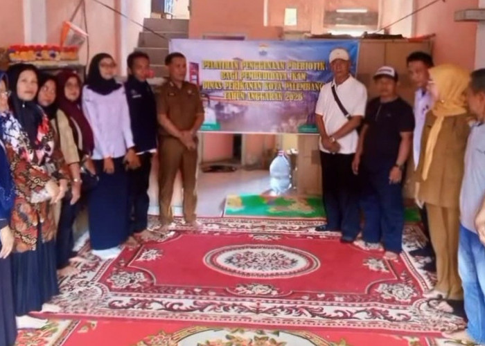 Tingkatkan Keterampilan Pembudidaya Ikan, Diskan Palembang Gelar Pelatihan dan Beri Bantuan Probiotik 
