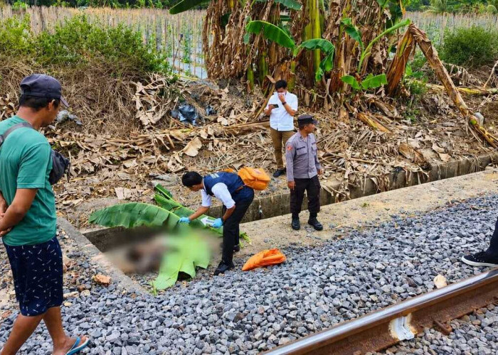 Tragis! IRT di Desa Pangkul Prabumulih Ditemukan Tewas di Pinggir Rel Kereta Api, Diduga Tertabrak Babaranjang