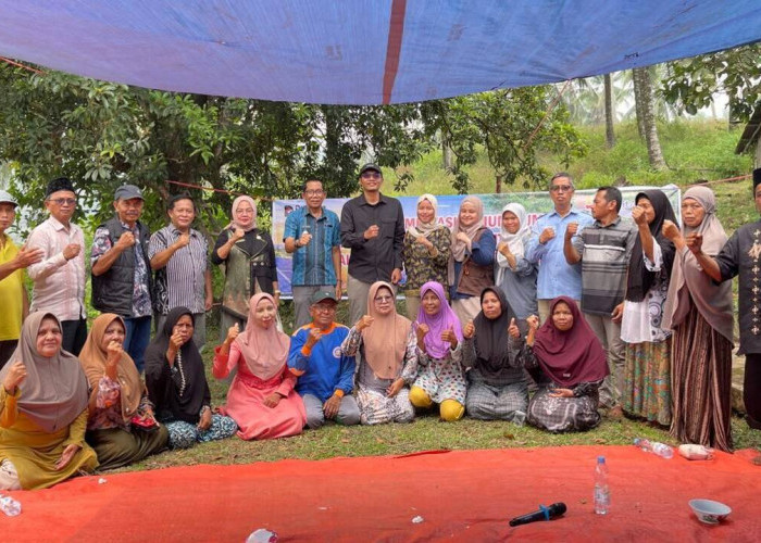 Wujud Hilirisasi Batu Bara untuk Pertanian, PTBA Bersama UGM Uji Coba Pupuk Kalium Humat di Sawahlunto