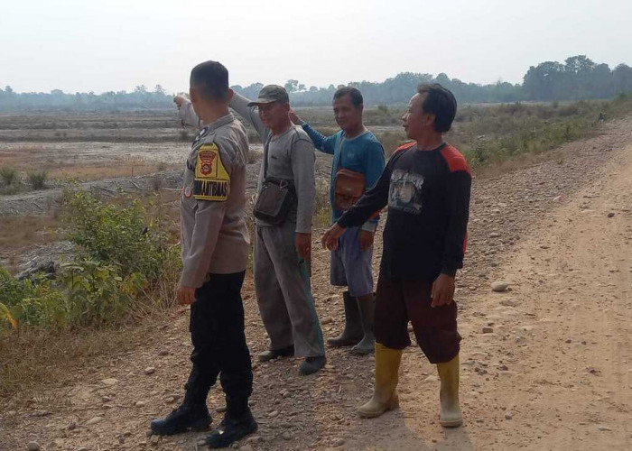 itik Hotspot Terpantau BRIN di Area Cetak Sawah Desa Petanang