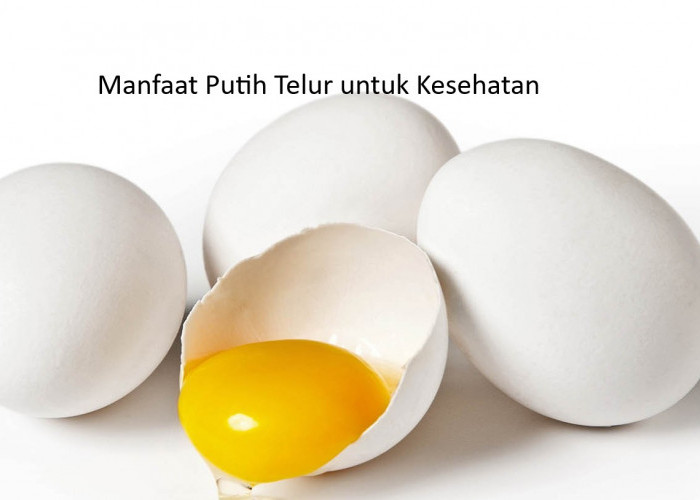 Manfaat Putih Telur Bagi Kesehatan, Salah Satunya Menurunkan Kolesterol