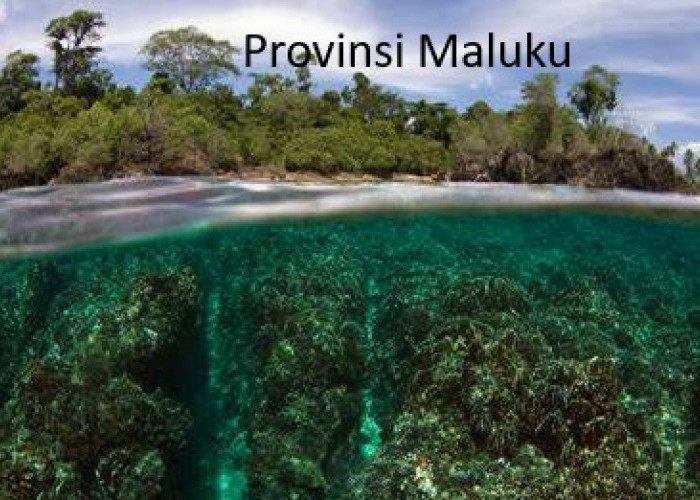 Pemekaran Wilayah Provinsi Maluku: Perjalanan Panjang Menuju Otonomi Baru Maluku Tenggara Raya