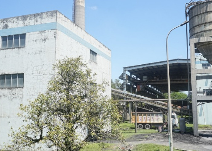 PTBA Perkuat Langkah Menuju Energi Bersih Lewat Uji Coba Co-Firing Wood Pellet di PLTU Tanjung Enim