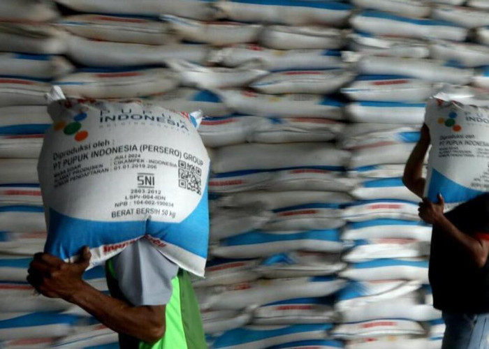 Pupuk Indonesia Edukasi Pemupukan Berimbang Kepada Petani Wanita dan Petani Cilik di Muara Enim
