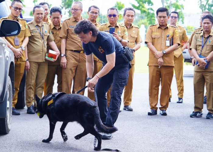 Siap Lakukan Kolaborasi Berantas Narkoba di Wilayah Kabupaten Muba