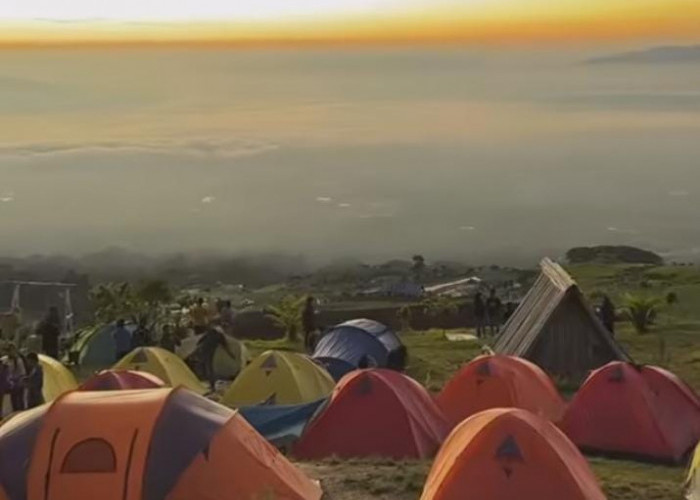 Camping Ground di Kebon Raya Dempo, Surga Bagi Pecinta Alam, Hanya 300 KM dari Palembang
