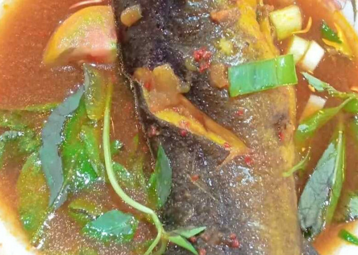Cicipi Kelezatan Pindang Palembang dengan Resep Tradisional Menggunakan Ikan Baung