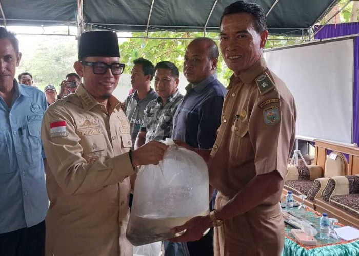 Bupati Restocking 70 ribu Bibit Ikan di 6 Kecamatan 