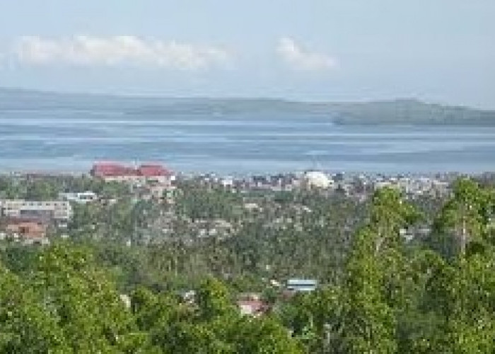 Mewujudkan Pemekaran: Sulawesi Tenggara Menuju Provinsi Kepulauan Buton dan 5 Daerah Otonomi Baru