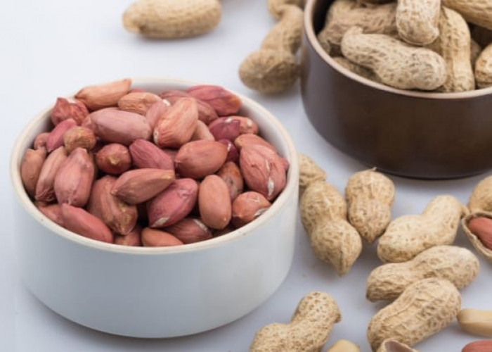 Kacang Tanah Rebus Dapat Menyehatkan Tulang dan Gigi