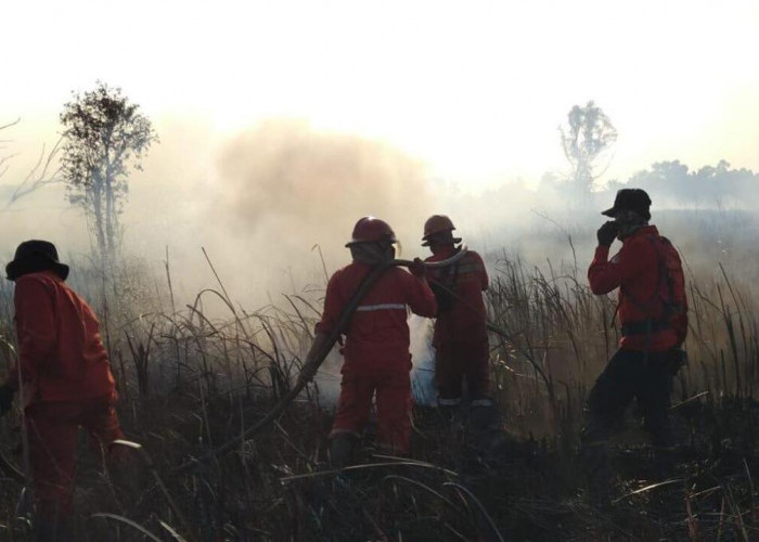 Karhutla Seluas 5 Hektare di Ogan Ilir Berhasil Dikendalikan, Manggala Agni Kerahkan Helikopter Water Bombing