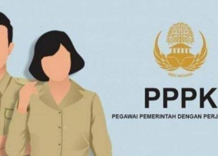 Wow! PPPK Lulusan S2 Bisa Terima Gaji Pokok di Atas Rp5 Juta Per Bulan: Semua Bergantung Masa Kerja dan Kinerj