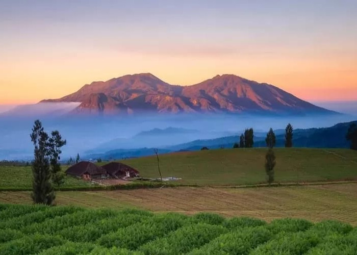 Luar Biasa ! Pesona Puncak Brakseng Destinasi Wisata Surga Dingin di Kota Batu, Bikin Mata tak Berkedip