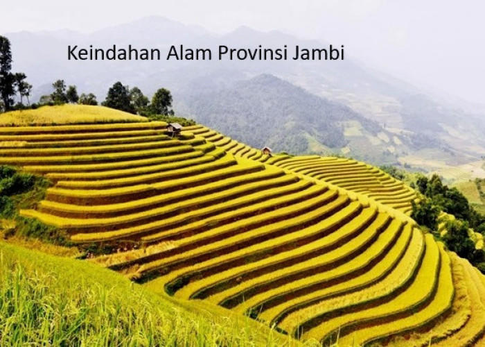 Jambi: Memperkenalkan Keindahan dan Kekayaan Provinsi di Pesisir Timur Sumatera