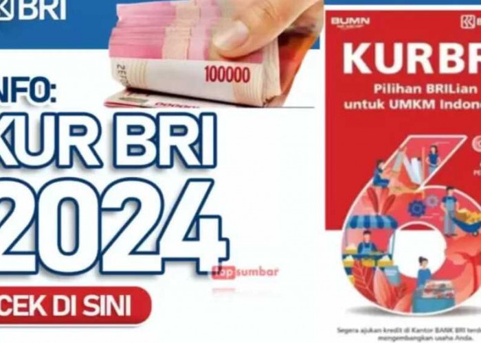 KUR BRI, Jadi Pahlawan Permodalan UMKM