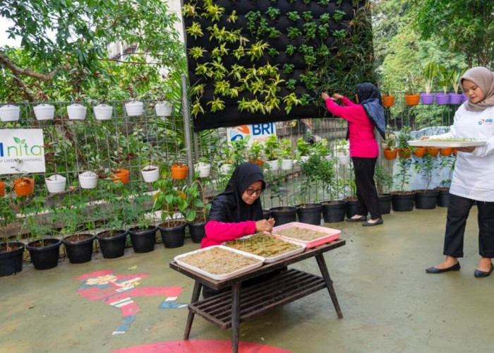 BRI Diakui atas Peran Nyata dalam Urban Farming dan Pemberdayaan  Perempuan