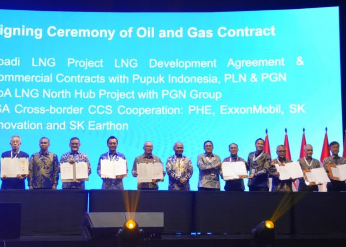 Kombinasi Pasokan Gas Berbasis Pipa dan LNG Memperkuat Penyalurkan Gas Bumi