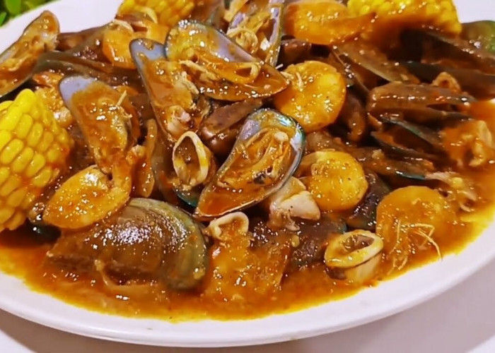 Kerang Hijau Saus Tiram: Kuliner Laut Populer yang Kaya Rasa, Gizi, dan Peluang Ekonomi