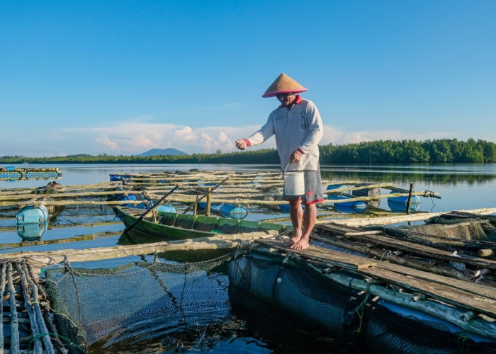 Dorong Sektor Produksi Bergeliat, BRI Salurkan KUR Rp69,8 triliun ke 8,3 Juta Debitur UMKM