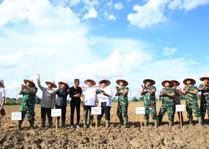 Pemprov–TNI Perkuat Sinergi Cetak Sawah, Food Estate Sumsel Dipacu Masuk Level Nasional