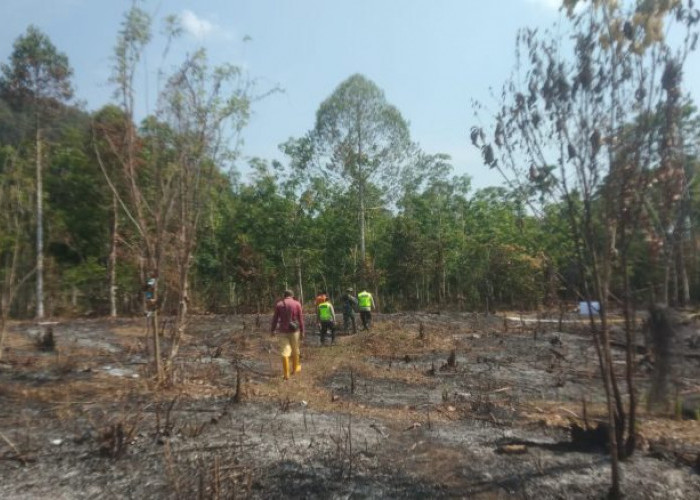 Karhutla Kembali Terjadi di Kabupaten OKU